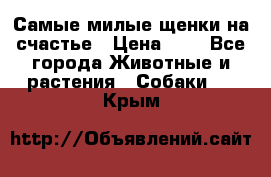 Самые милые щенки на счастье › Цена ­ 1 - Все города Животные и растения » Собаки   . Крым